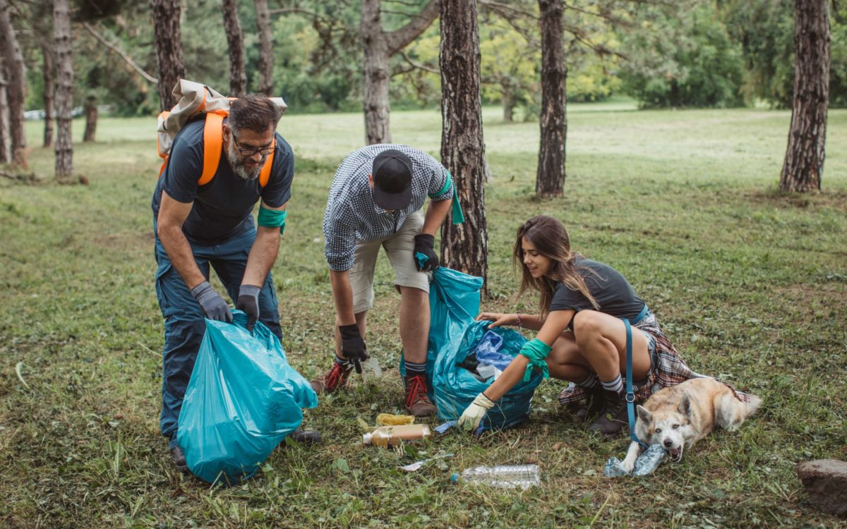 des adultes et un chien ramassent des déchets